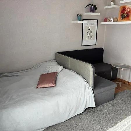 Apartmán затишна квартира-студія неподалік від вокзалу Lvov